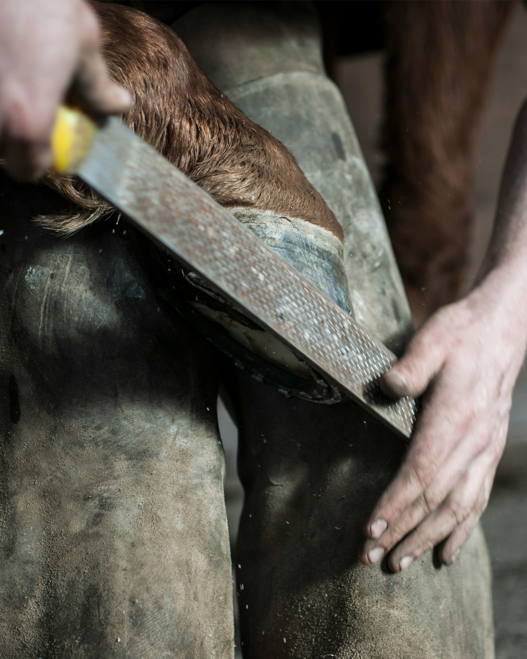 A farrier at work